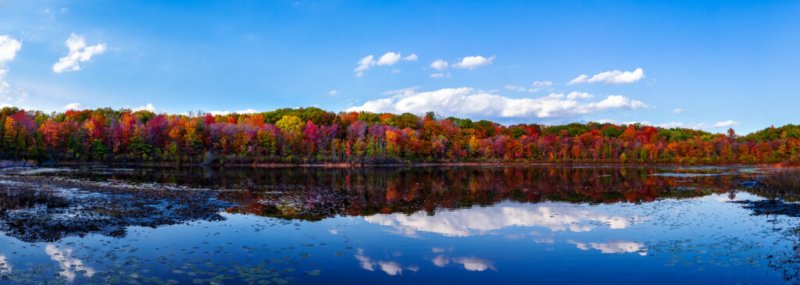 Herbstpanorama eines Sees mit buntem Laub im Vordergrund und einer Spiegelung der herbstlichen Bäume im ruhigen Wasser.