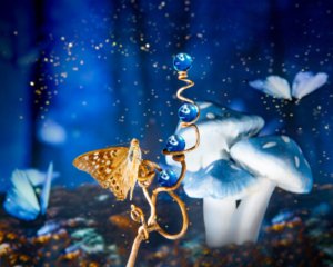 Land of the Butterflies