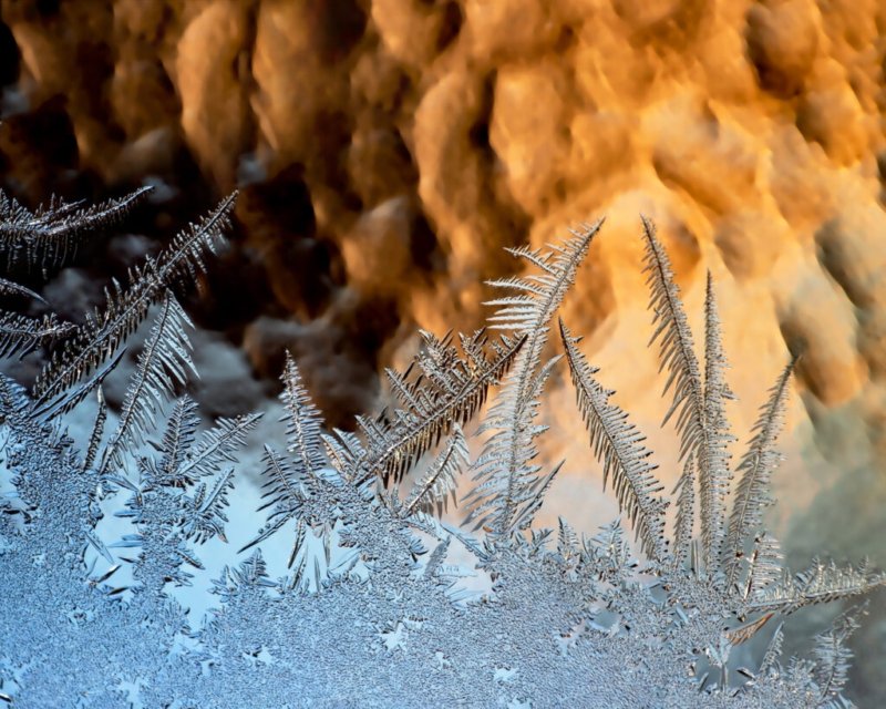 Frost im Morgengrauen