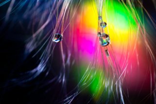 Lichtspiel im Wassertropfen - Makrofotografie von Emder Fotograf Max Simson