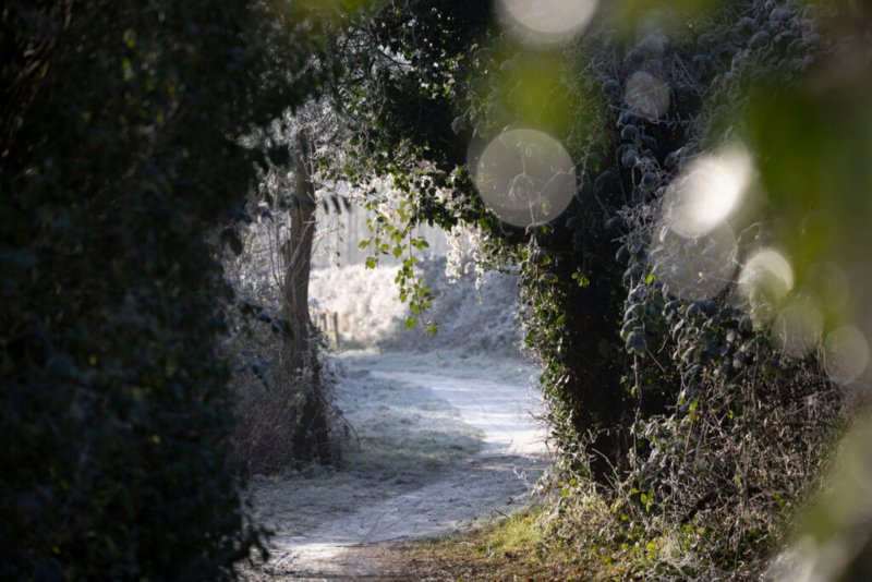 Idyllischer Waldweg in Emden