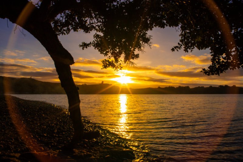 Foto eines Sonnenuntergangs über einem See, gerahmt von einem Baumstamm und Ästen im Vordergrund.