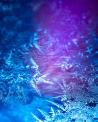 Frostkristalle im Winterlicht